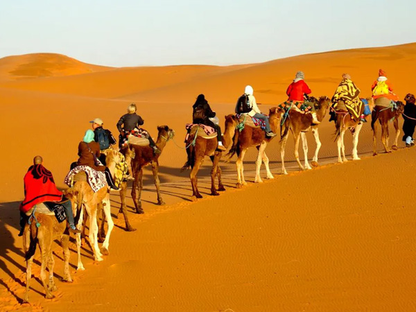 تور کویرمصر